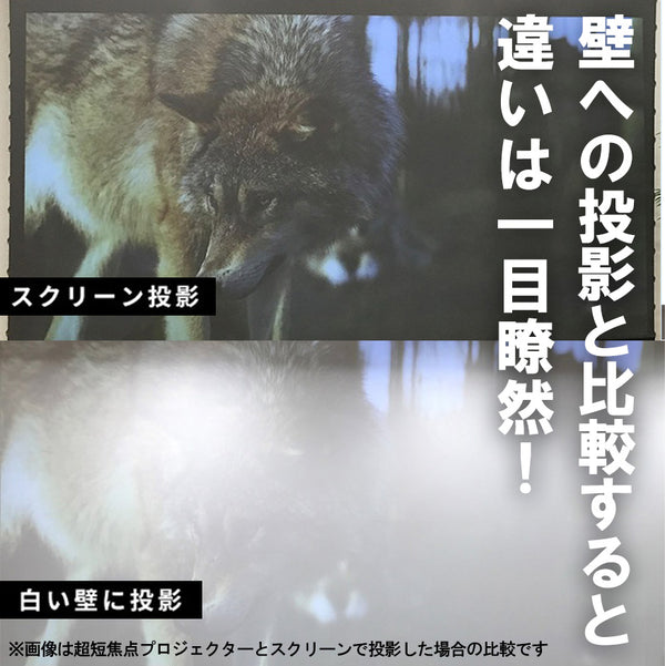 同じ環境で壁に映した場合とこのスクリーンに映した場合を比較するとその違いは一目瞭然