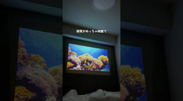 保育園帰宅後ルーティン👧│JMGO N1S Nano レビュー