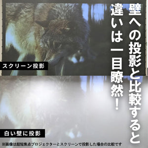 同じ環境で壁に映した場合とこのスクリーンに映した場合を比較するとその違いは一目瞭然