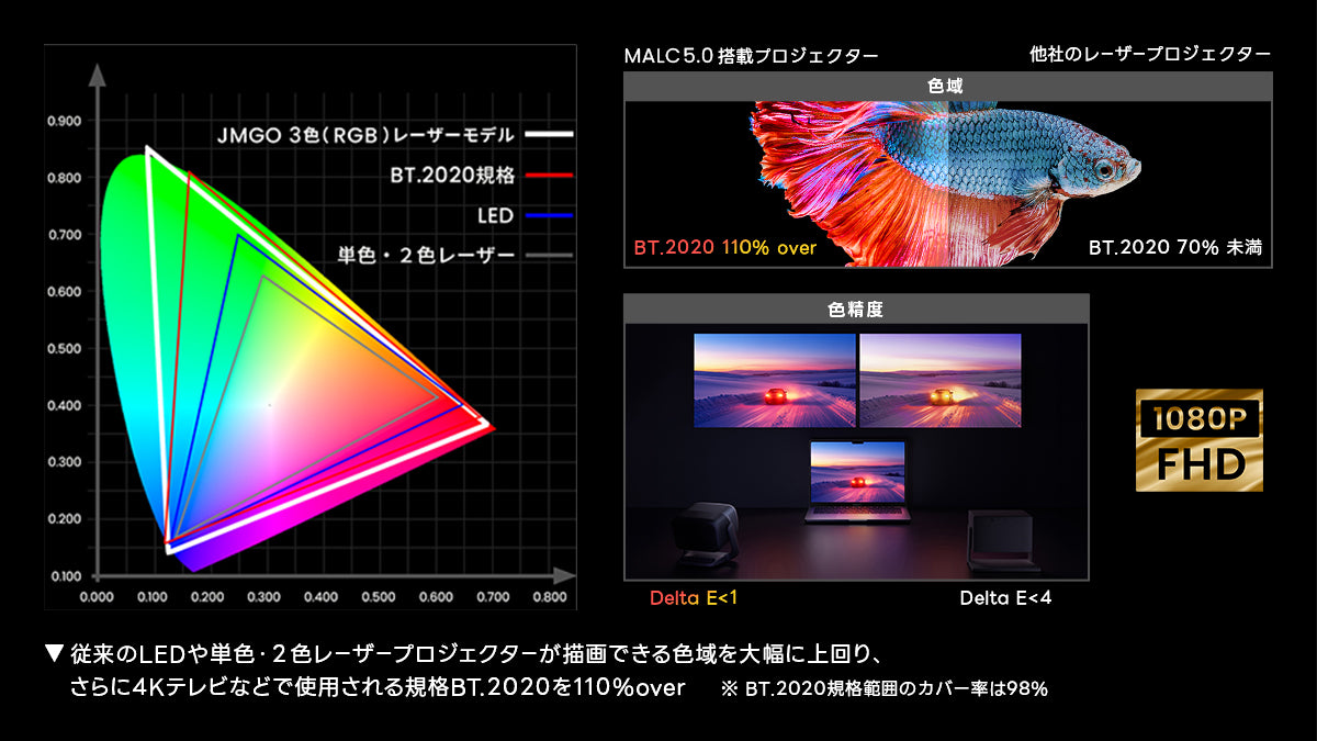 FHD / BT.2020 110%