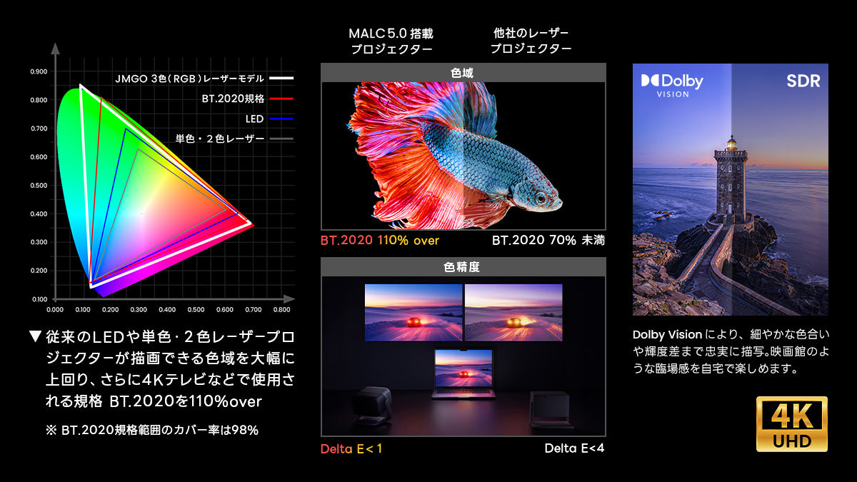 BT.2020 110%/ 4K / Dolby Vision